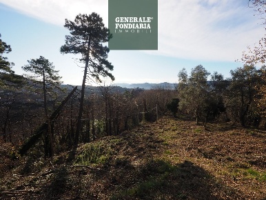 Foto Terreno edificabile a Podenzana di 8500 m² in vendita