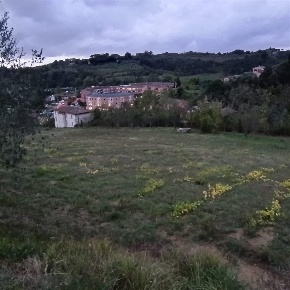 Foto Terreno agricolo a Siena di 20000 m² in vendita