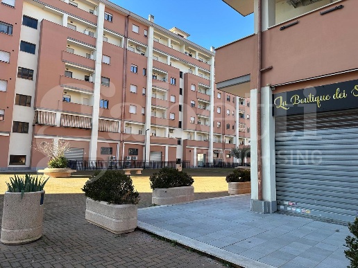 immagine annuncio 2 di 4