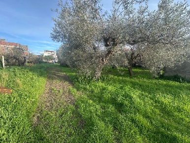 Foto Terreno residenziale in Contrada case anna SNC, Pace del Mela