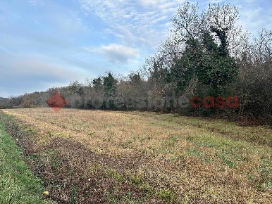 Foto Terreno agricolo in Via delle sorgenti snc, Collesalvetti Cisternino