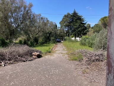 Foto Villa singola in Contrada orfani 1, Mesagne di 130 m² con 6 locali