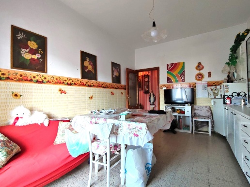 immagine annuncio 4 di 14