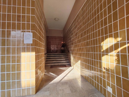 immagine annuncio 12 di 14