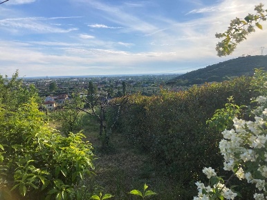 Foto Rustico a Pietrasanta di 110 m² con 4 locali in vendita