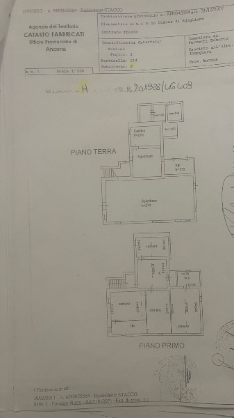 immagine annuncio 2 di 3