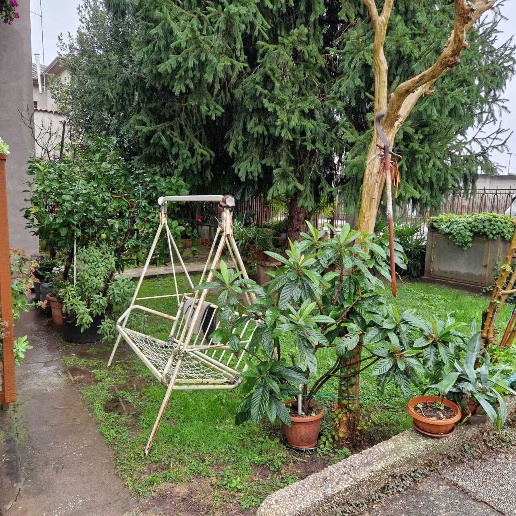 immagine annuncio 2 di 12