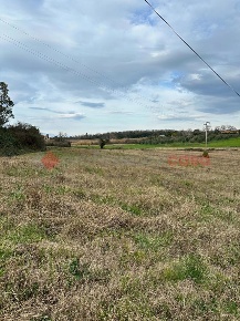 Foto Terreno agricolo a Collesalvetti Cisternino di 14600 m² in vendita