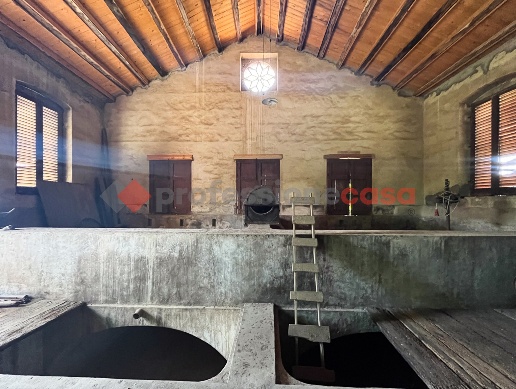 immagine annuncio 9 di 13