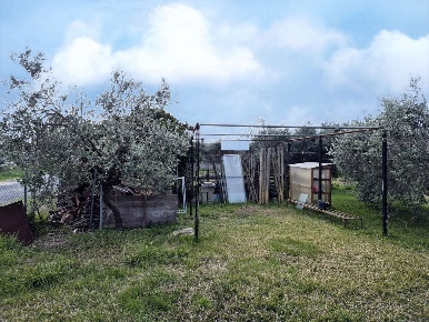 Foto Terreno agricolo in Via orcagna snc, Grosseto Aeroporto - Gorarella