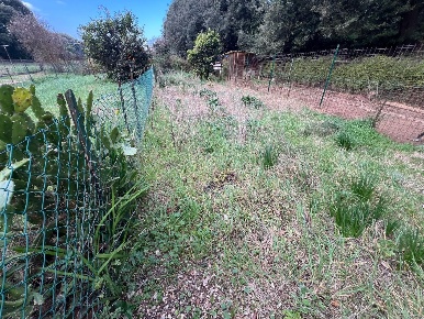 Foto Appartamento a Bibbona di 105 m² con 4 locali in vendita