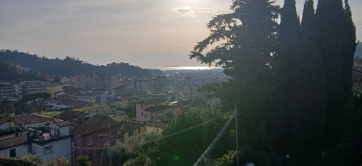 immagine annuncio 0 di 15