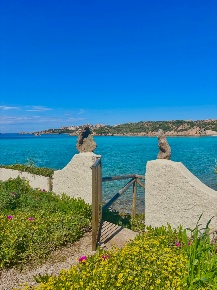 Foto Appartamento in monti d'arena 6, La Maddalena di 80 m² in affitto