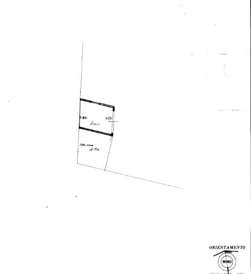 immagine annuncio 11 di 14