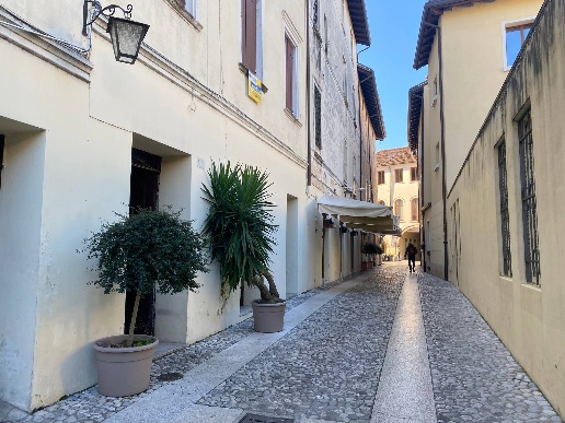 immagine annuncio 4 di 7