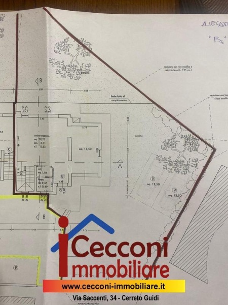 immagine annuncio 5 di 15