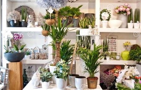 Foto Negozio a Pisa Santa Maria di 20 m² con 1 locali in affitto