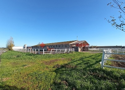 Foto Rustico in Via delle Acacie 1, Aprilia Cogna di 24000 m² in vendita