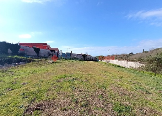 immagine annuncio 1 di 6