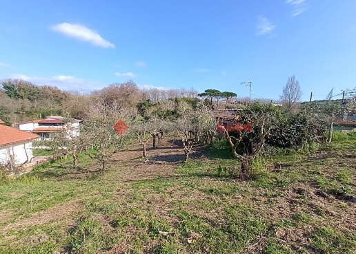 immagine annuncio 2 di 6