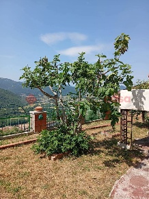 Foto Appartamento in Via Sant' Antonio 9, Pereto di 150 m² con 7 locali