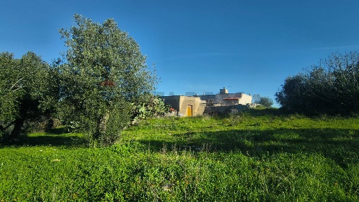 immagine annuncio 4 di 6