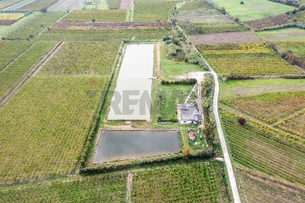 Foto Locale commerciale a Casalbordino di 23000 m² con 4 locali in vendita