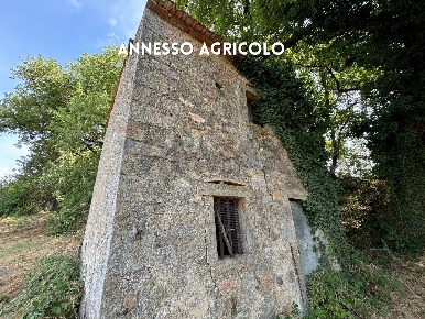 Foto Rustico in PODERE QUERCETO SNC, Roccastrada Centro di 44 m² in vendita