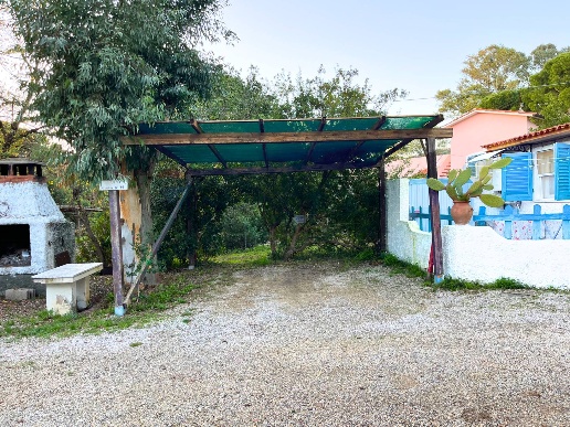 immagine annuncio 11 di 14