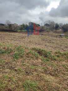 Foto Terreno agricolo in Vicolo Sant. Antonio, Albano Laziale di 3800 m²