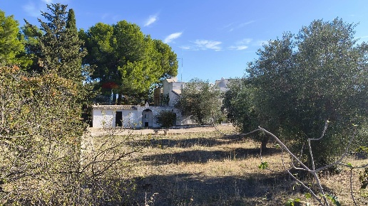 immagine annuncio 1 di 13