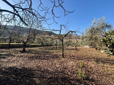 Foto Terreno agricolo a Caserta di 3377 m² in vendita