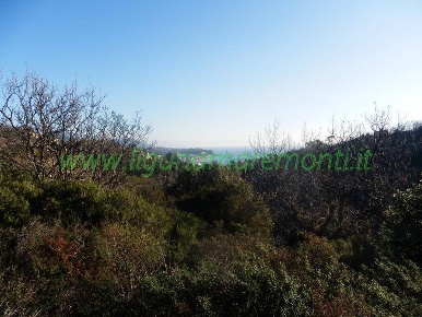 Foto Terreno residenziale in via ranco, Savona Villetta, Valloria