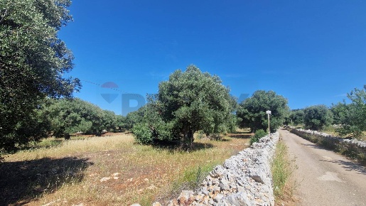 Foto Terreno residenziale a Monopoli di 61946 m² in vendita