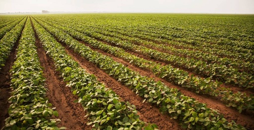 Foto Terreno agricolo a Turriaco di 2700 m² in vendita