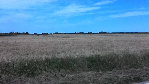 Foto Terreno agricolo a Mesola di 11 m² in vendita