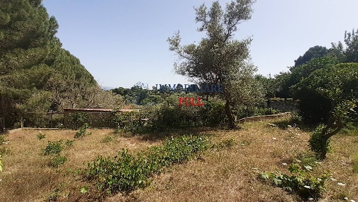 Foto Terreno agricolo in VIA DEI BIANCHI CURCURACI, Messina Curcuraci