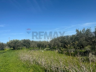 Foto Terreno agricolo in contrada spadafora, Partinico di 3500 m²