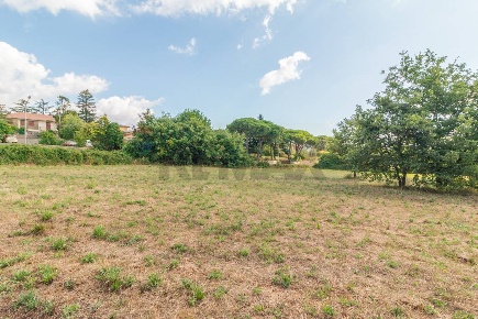 Foto Terreno residenziale in Località San Pietro snc, Ischia di Castro