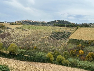 Foto Terreno agricolo in Contrada Cantagallo snc, Altidona di 30000 m²