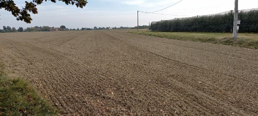 Foto Terreno agricolo in Statale 16, Argenta Centro in vendita