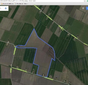 Foto Terreno agricolo in Alta, Copparo in vendita