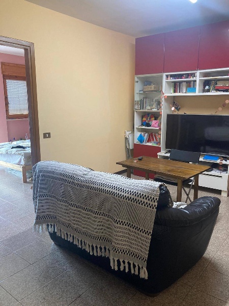 immagine annuncio 2 di 12