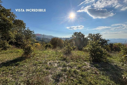 Foto Terreno agricolo in VIA DI MELETA, Roccastrada di 11920 m² in vendita