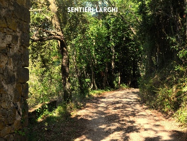 Foto Terreno agricolo in LOCALITA' CASETTE SNC, Roccastrada di 2660 m²