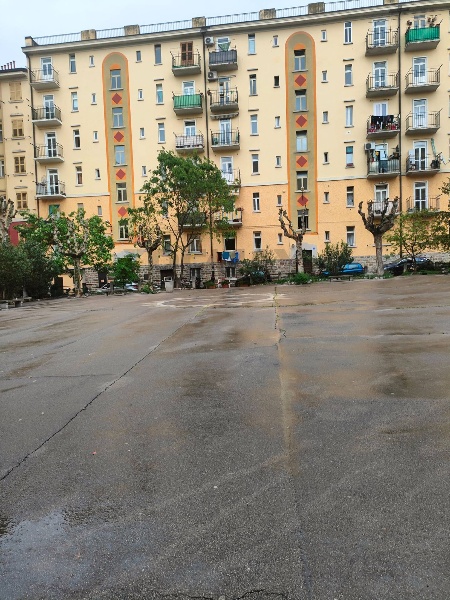 immagine annuncio 1 di 9