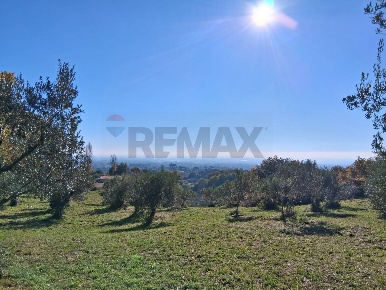 Foto Terreno agricolo in Via Appia Antica - Loc. Montecagnoletto,