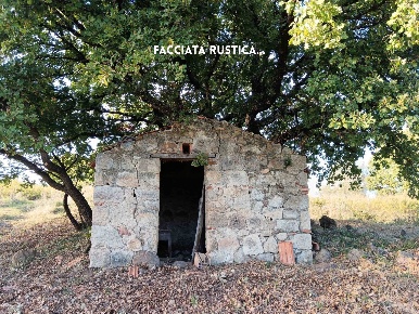 Foto Rustico in VIA DI CIVITELLA SNC, Roccastrada di 16 m² con 1 locali