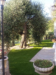 Foto Casa indipendente a Perinaldo di 70 m² con 3 locali in vendita