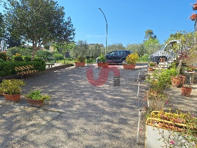 Foto Attività commerciale in Strada Provinciale 71 - C.da San Vitale snc,